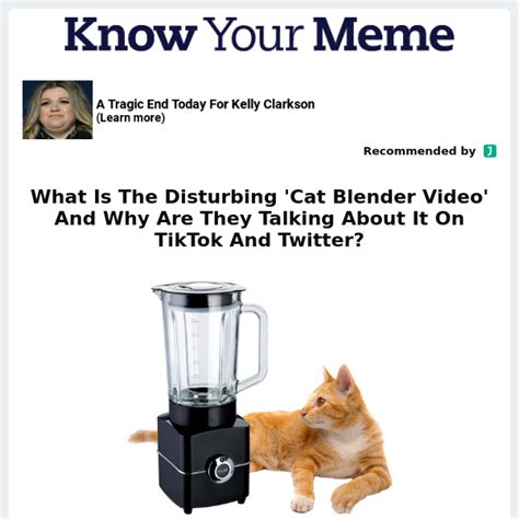 twitter cat blender|Twitter. It’s what’s happening / Twitter